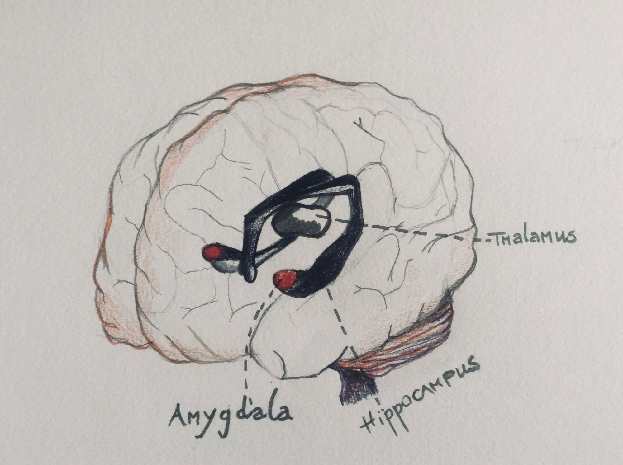 Emotional agility & emotional intelligence