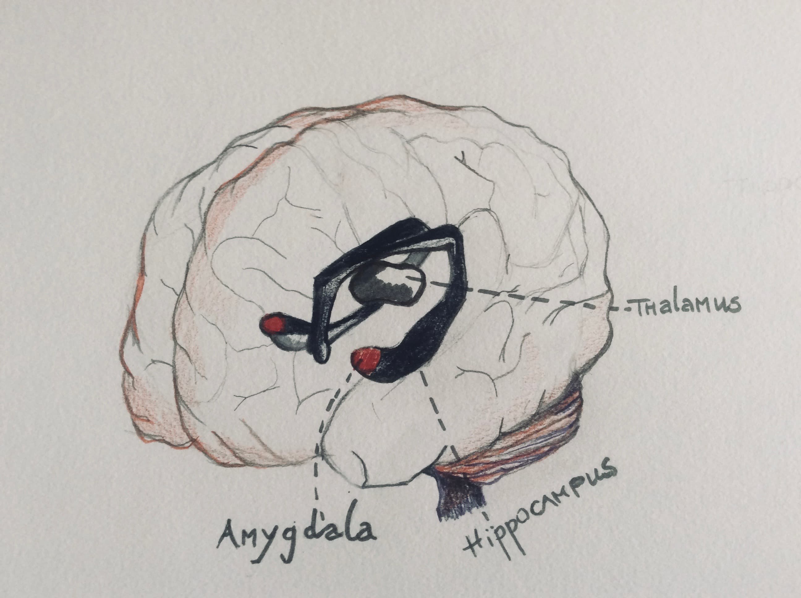 Emotional agility & emotional intelligence